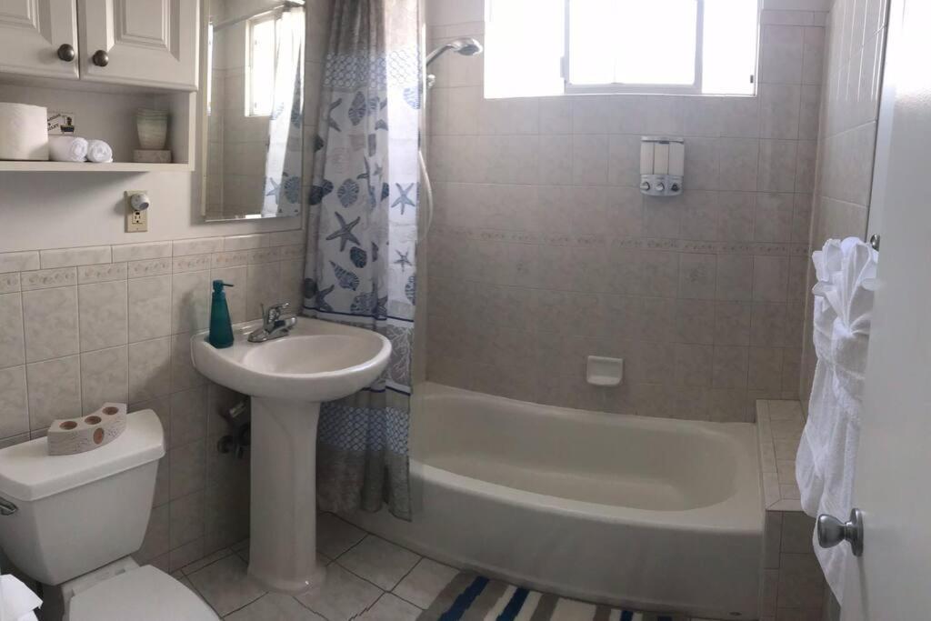 Apartment 2 Bedroom House Or Private Near Sf, Sfsu And Sfo